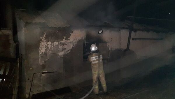 Сотня свиней и 50 тонн зерна сгорели ночью на ферме в Крыму