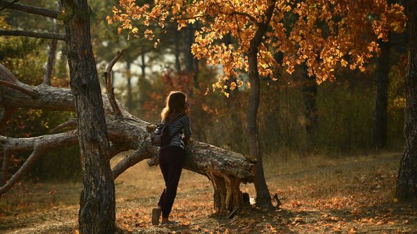 Осень в Крыму