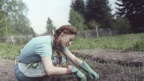 Майя Михайловна Плисецкая (1925-2015) , солистка балета Большого театра СССР (ГАБТ), народная артистка СССР, на даче в Подмосковье. Майя Михайловна Плисецкая (1925-2015) , солистка балета Большого театра СССР (ГАБТ), народная артистка СССР, на даче в Подмосковье.