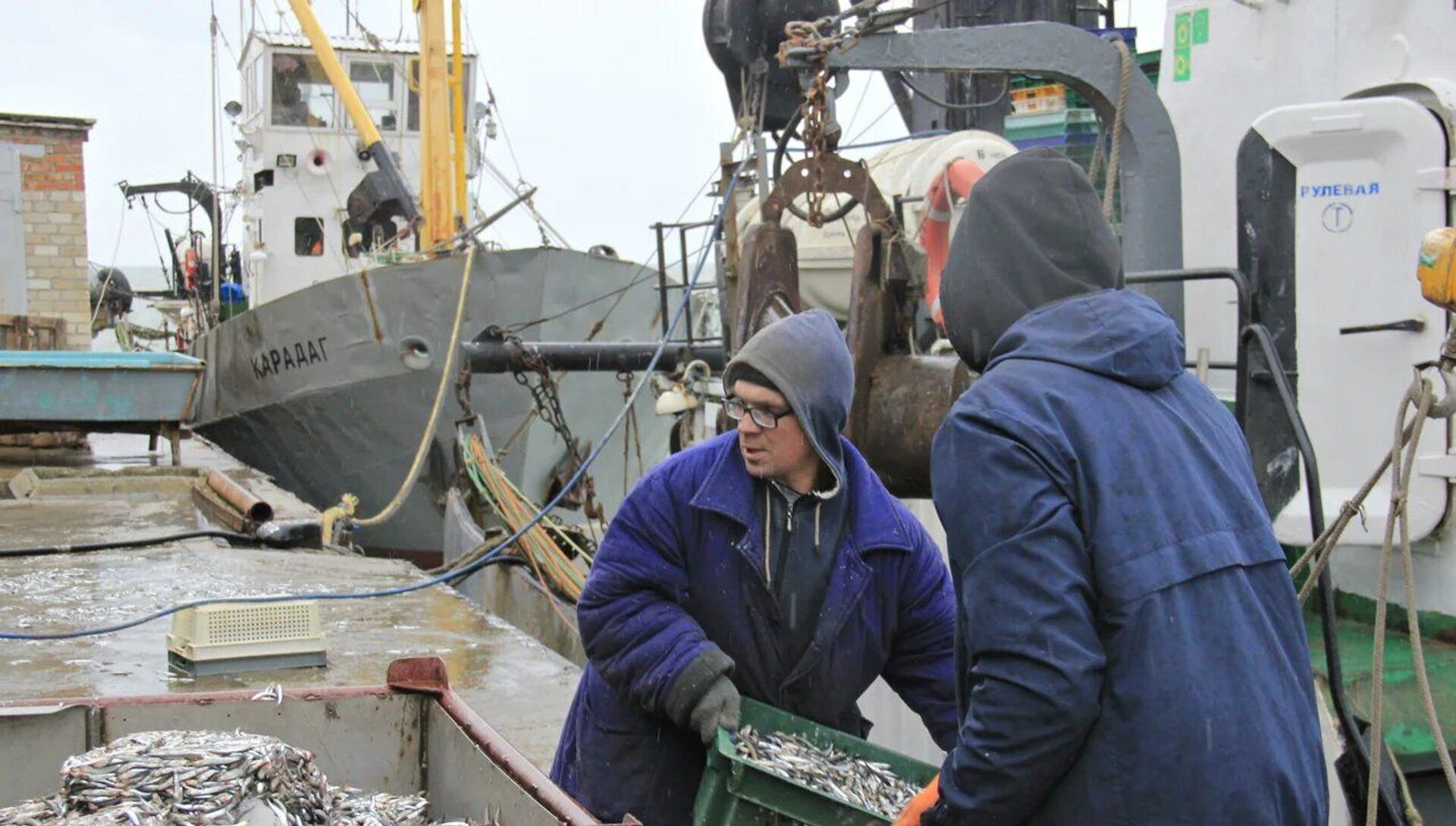 Рыбаки выгружают ящики с хамсой, которая пойдет на крымские рынки - РИА Новости, 1920, 25.12.2020