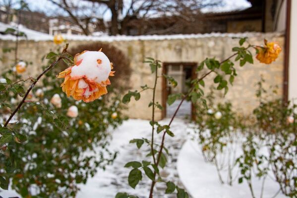 А в саду Бахчисарайского дворца роз множество - это был один из любимых цветов крымских ханов.