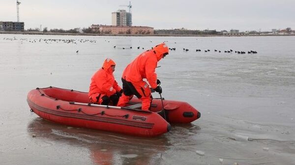 На Сакских озерах спасли вмерзших в лед лебедей
