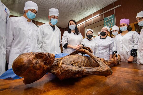 Анатомическая коллекция Медицинской академии насчитывает сотни экспонатов. Настоящий музей человеческого тела!