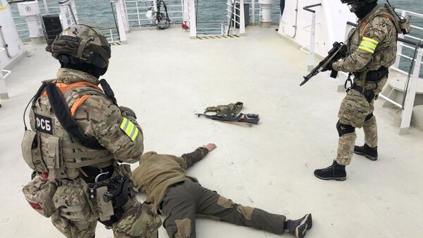 Сотрудники силовых ведомств Республики Крым и Краснодарского края освободили от террористов круизное судно Дагомыс, вышедшее из порта Сочи