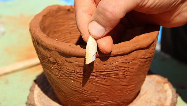 Древний инструмент из раковины уппа, найденный археологами