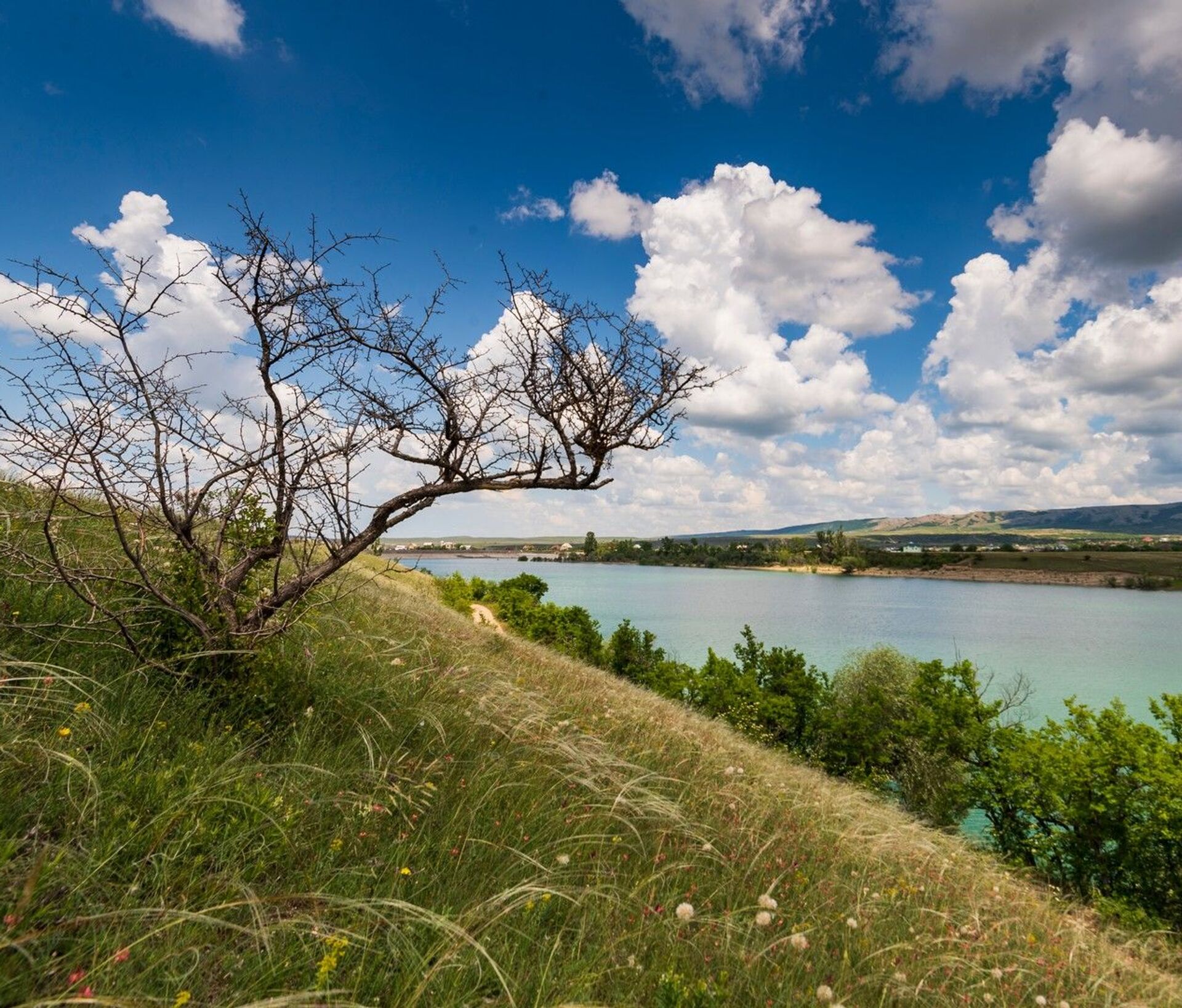 Несколько городов и сел Крыма до ночи останутся без воды - список - РИА  Новости Крым, 28.06.2021