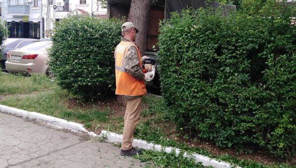 В Симферополе провели обрезку деревьев и кустарников на 15 улицах 