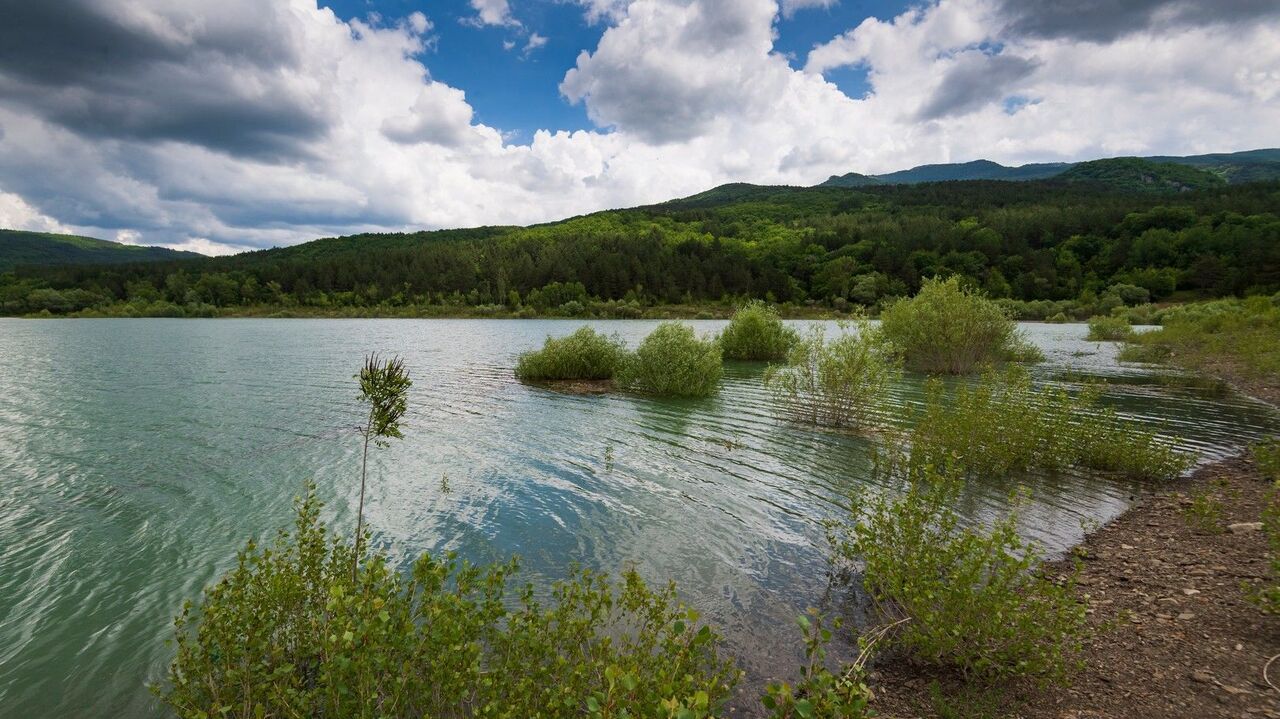 Вода и безопасность: куда двигаться Крыму – директор ИВП РАН - РИА Новости  Крым, 07.07.2021