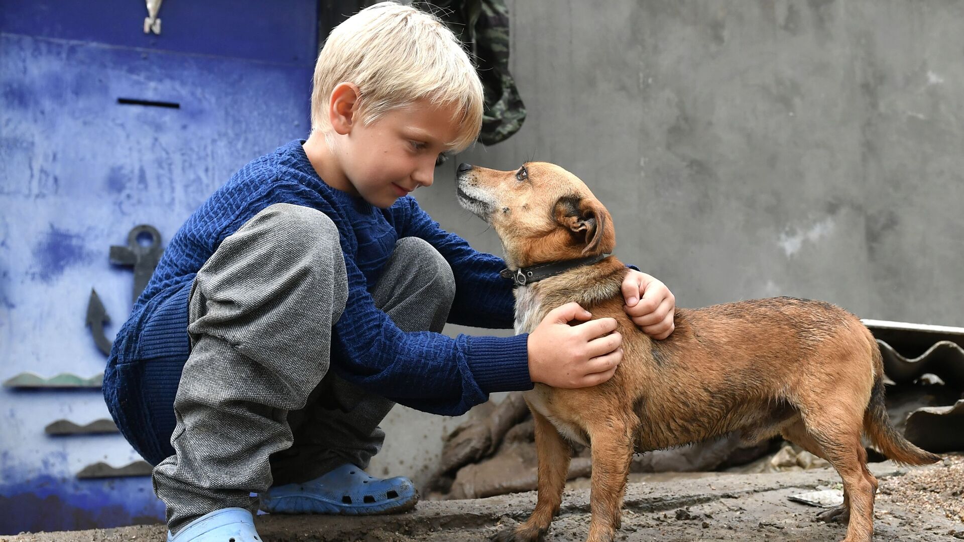 Мальчик с собакой возле своего дома в Бахчисарайском районе - РИА Новости, 1920, 04.07.2021