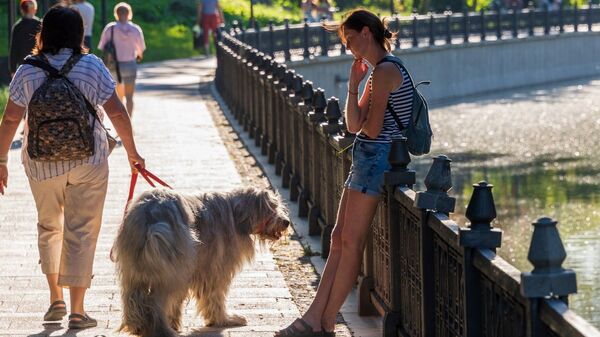 Собака на прогулке в центре Симферополя