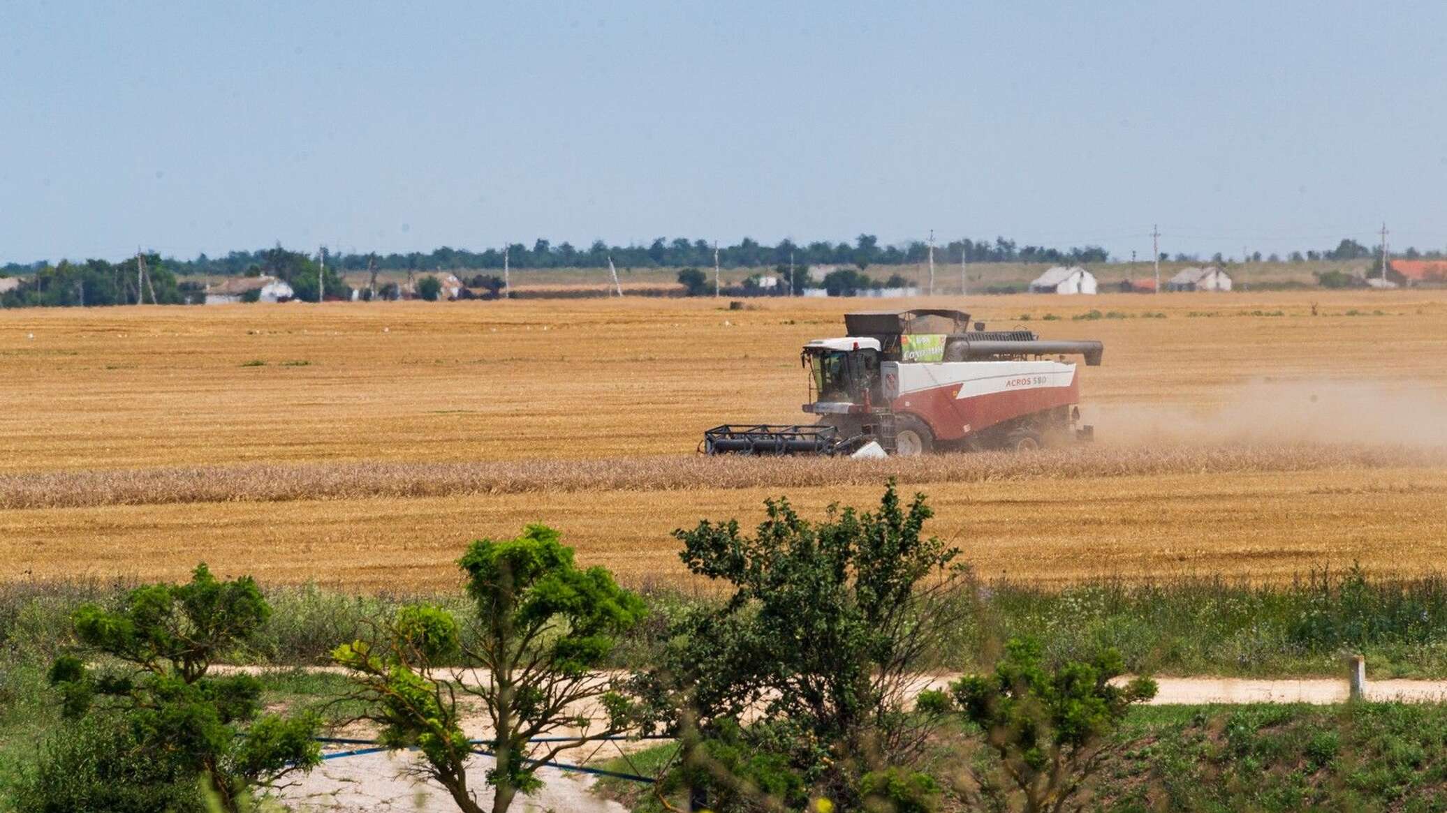 В сентябре был собран рекордный урожай. Сбор зерна. Уборка урожая на Кубани. Жатва Кубань. Сбор урожая пшеницы в Кубани.