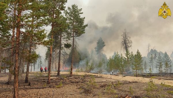 Лесные пожары в Республике Саха (Якутия)