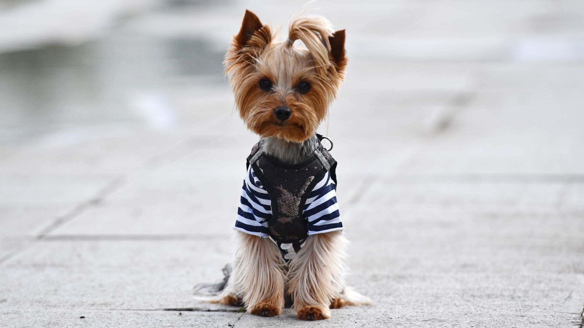 День ВМФ в городах России. Екатеринбург - РИА Новости, 1920, 12.05.2022