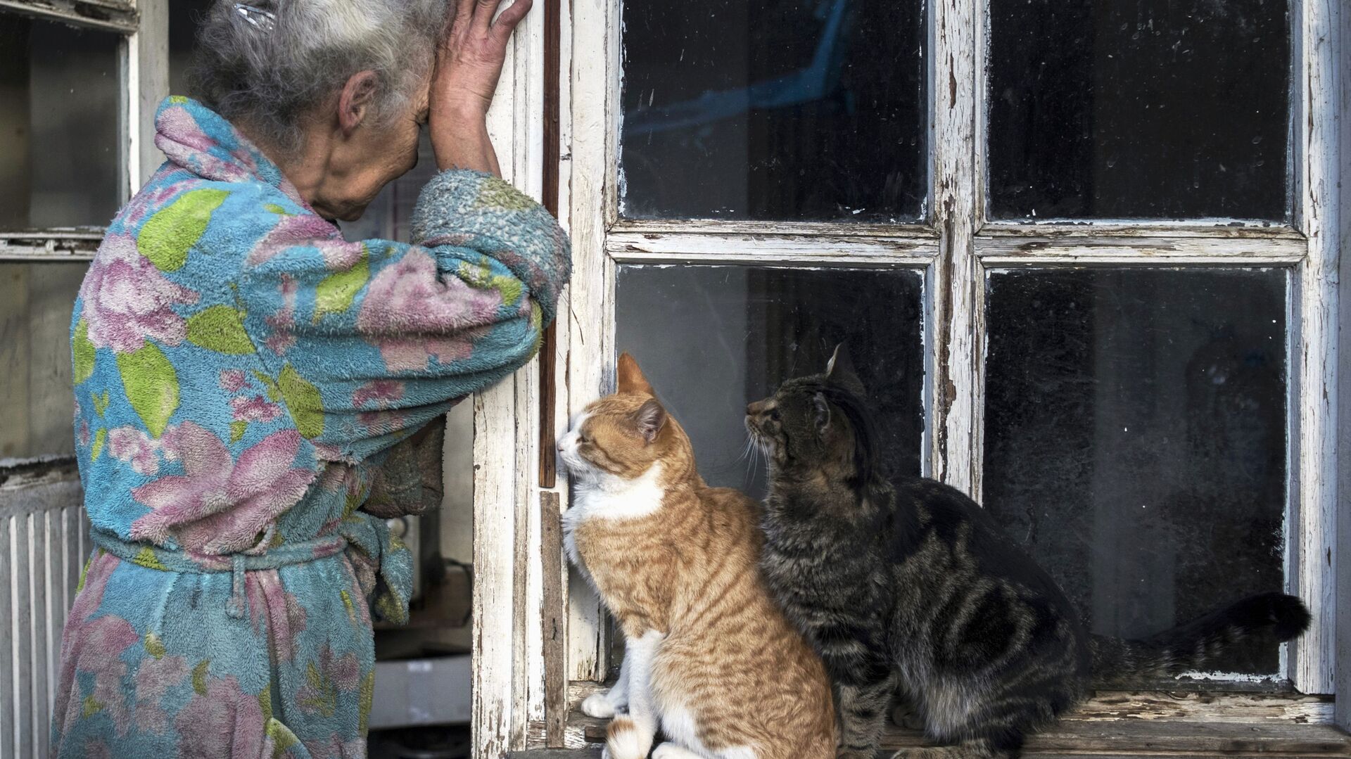 Пожилая женщина с кошками возле своего дома в городе Лачин (Бердзор) в Нагорном Карабахе - РИА Новости, 1920, 03.08.2022