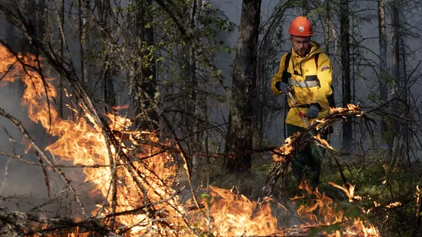 Тушение лесных пожаров. Архивное фото