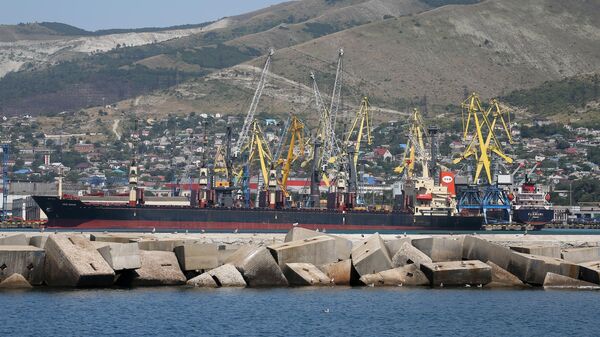 Новороссийский морской торговый порт. Архивное фото