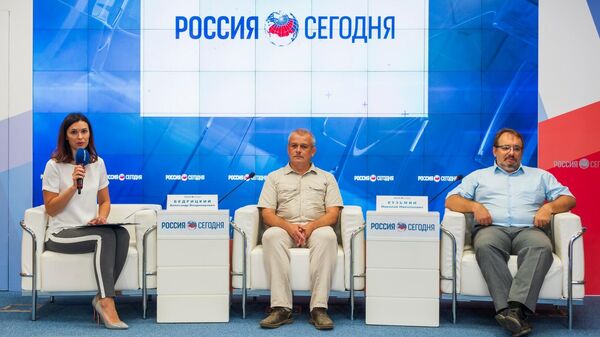Пресс-конференция Крымская платформа: пиар или попытка дестабилизации ситуации?