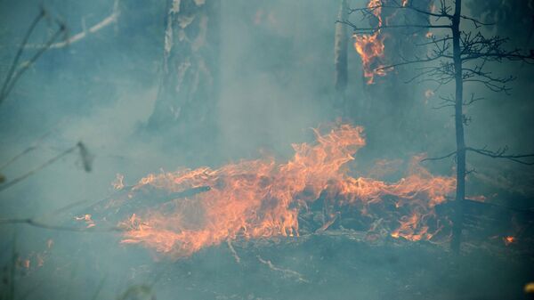 Тушение лесных пожаров в Башкирии