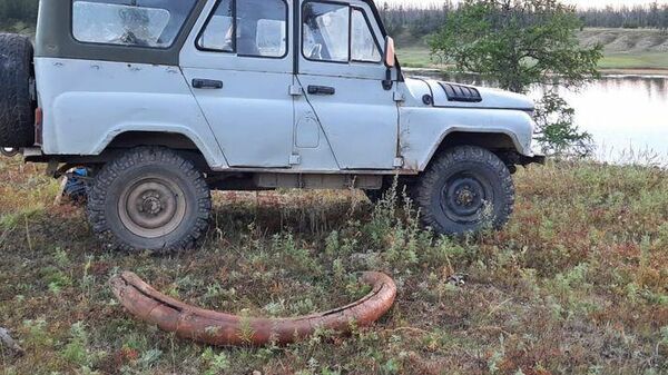 В Якутии местный житель случайно нашел огромный бивень мамонта 