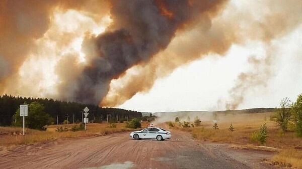 В Самарской области горит национальный парк Бузулукский бор