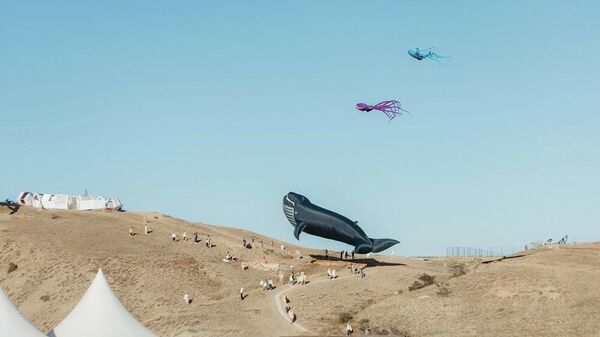 Подъем воздушного змея в форме кита на АРТ-кластере Таврида