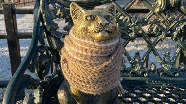 В Благовещенске много лет подряд городскую скульптуру кота утепляют к зиме