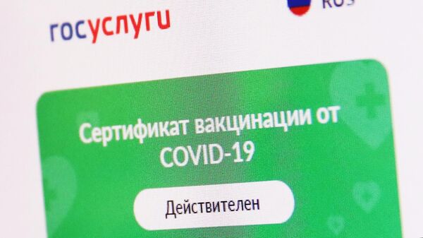 Проверка QR-кодов в музеях Краснодара