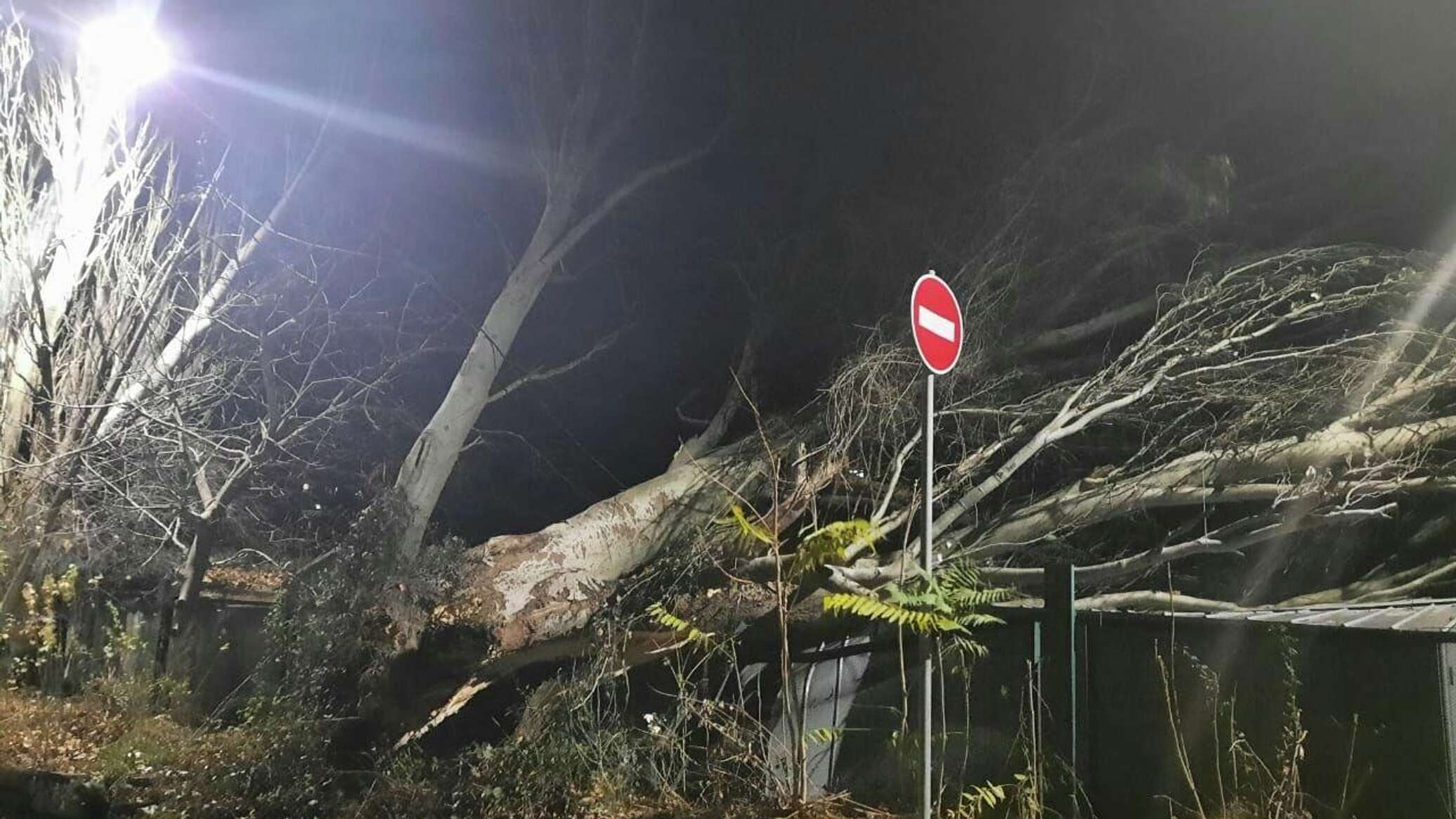 Декабря новости крыма. Ураган в Ялте. Алушта ураган. Фото ураганный ветер в Крыму. Смерч в Крыму сегодня 2021.