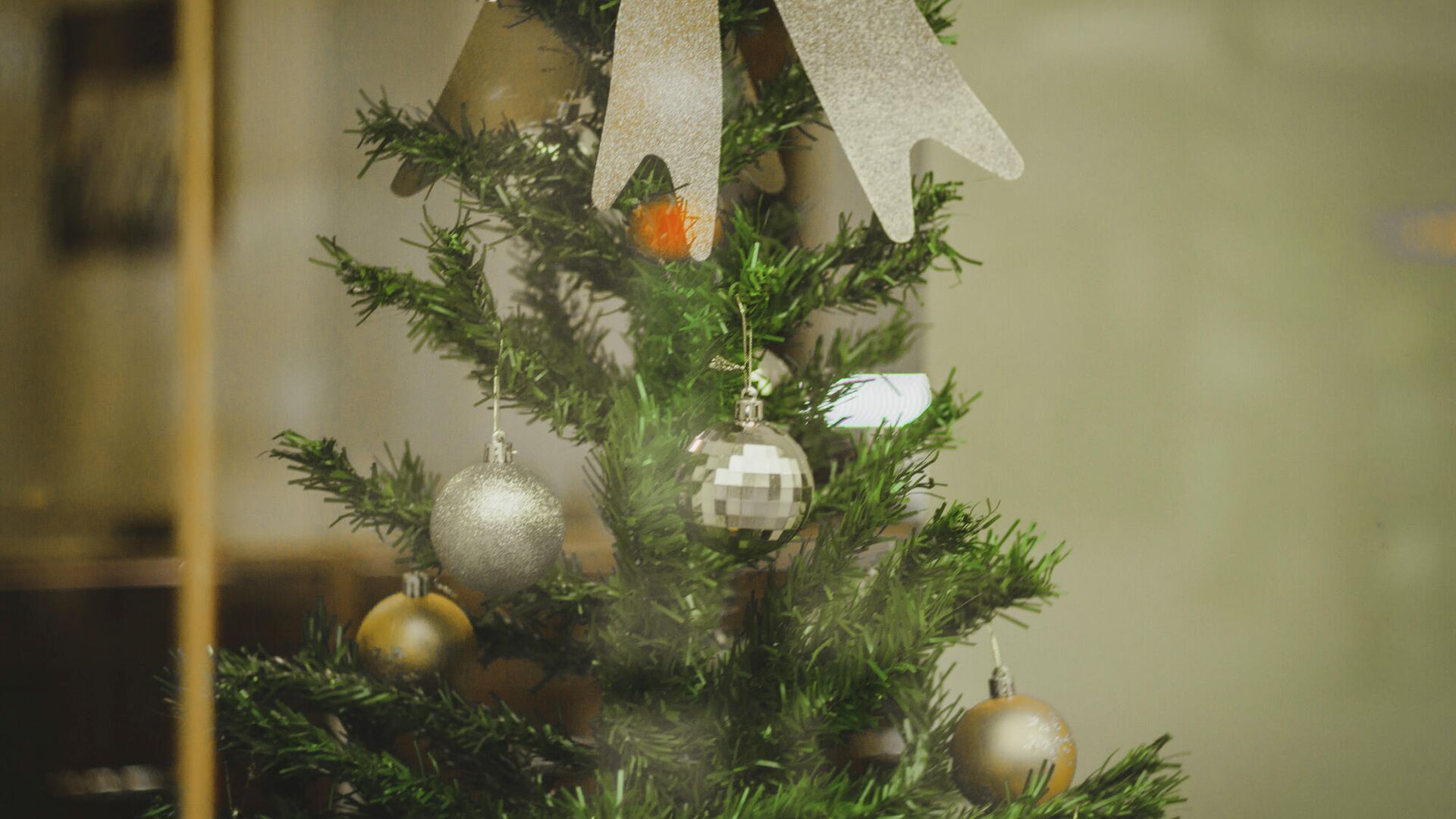 Откуда пришла традиция ставить ёлку на Новый год и Рождество