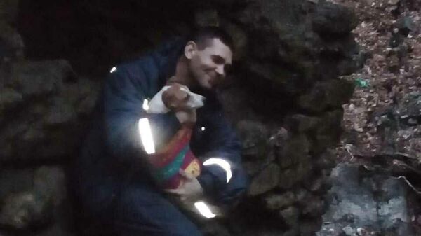 Сотрудники МЧС Крыма спасли собаку, провалившуюся в заброшенный каптаж