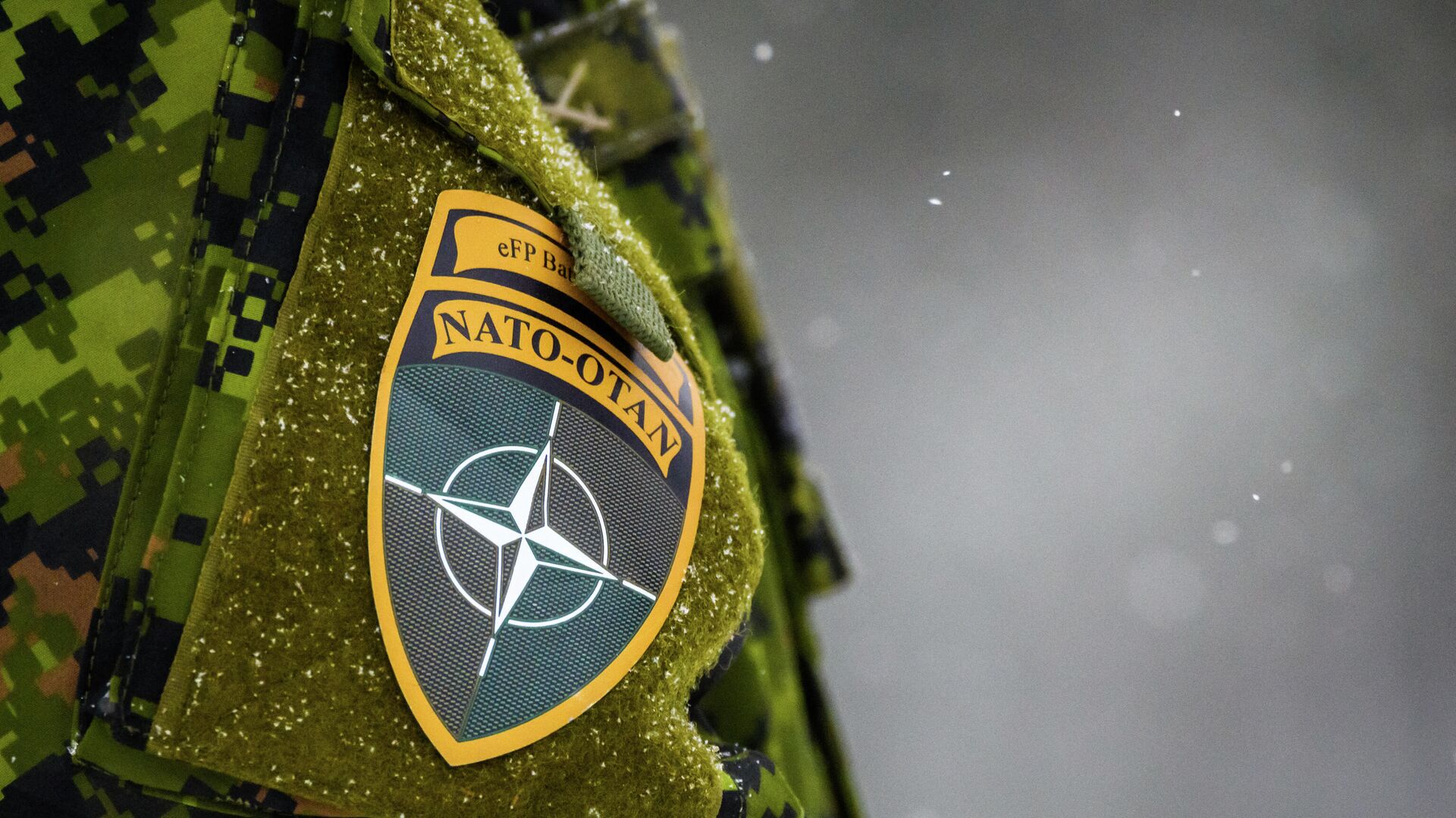Логотип НАТО на униформе во время ежегодных военных учений НАТО Зимний щит 2021 в Адажи, Латвия. 29 ноября 2021 года - РИА Новости, 1920, 24.01.2022