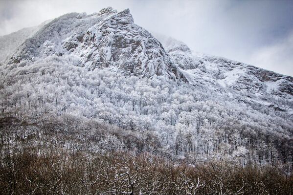 Заснеженная гора Чатыр-Даг в Крыму