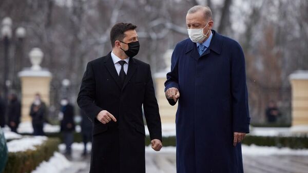 Президенты Украины и Турции Владимир Зеленский и Реджеп Эрдоган