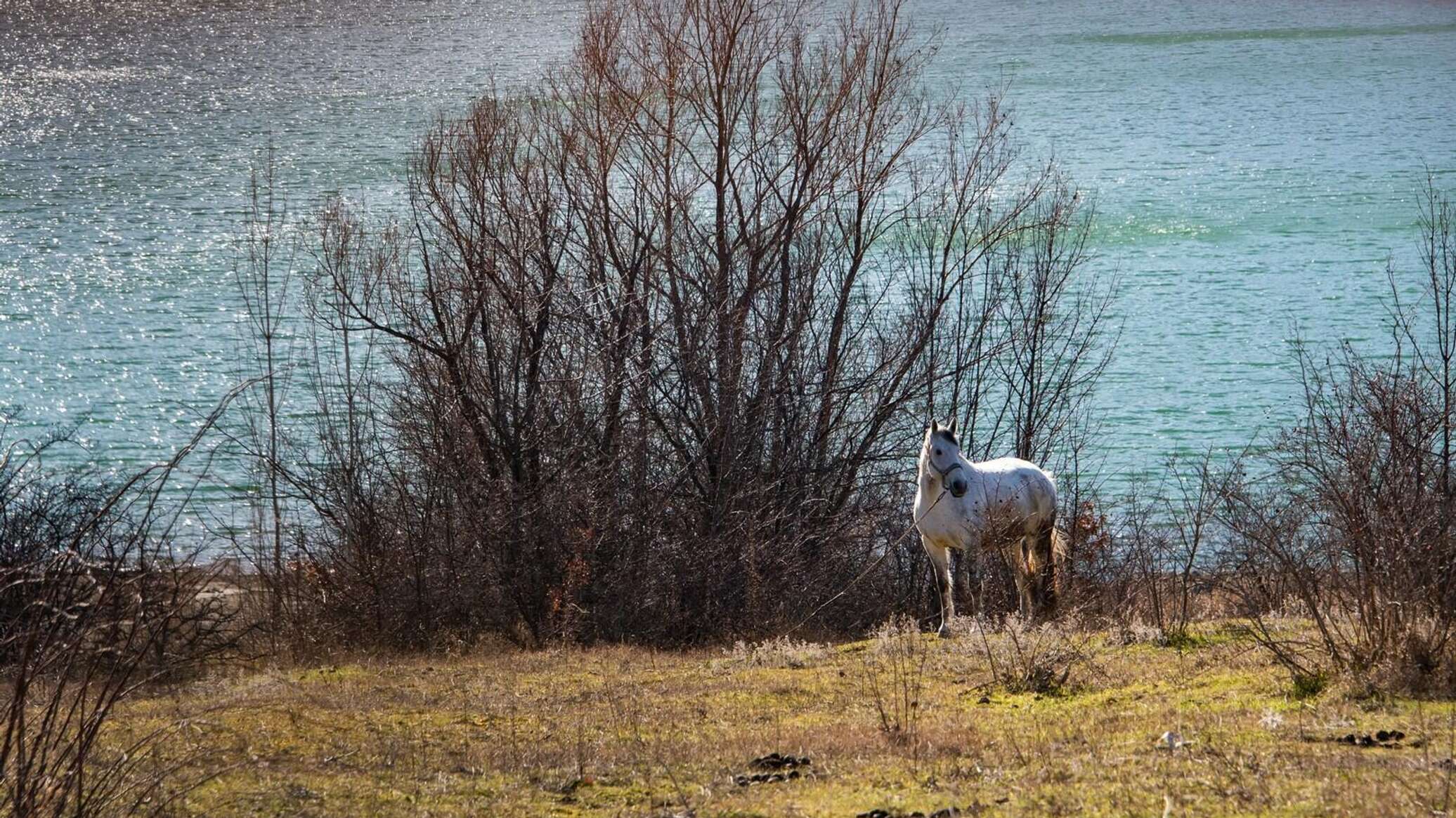 Когда в крыму потеплеет. Изобильное фото водохранилища.