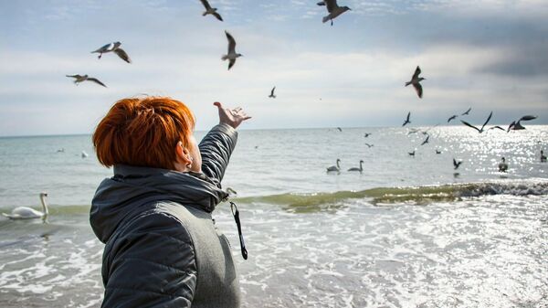 Кормление птиц на берегу моря