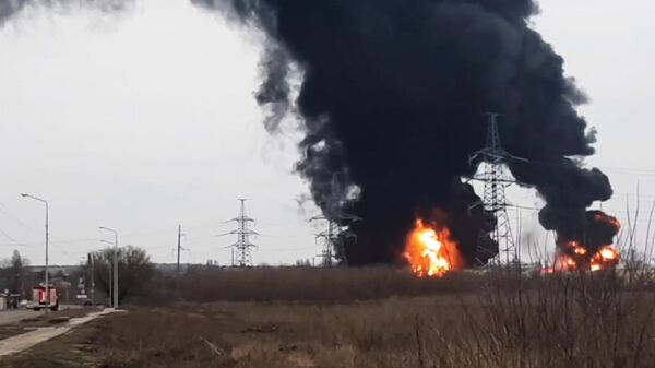 Зенон Белгород Сайт