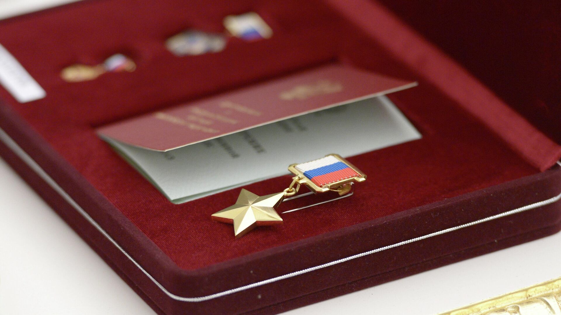 Золотая медаль Герой России - РИА Новости, 1920, 31.05.2023