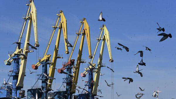 Краны в порту Бердянска