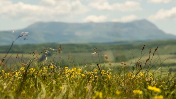 Весна в крымских горах