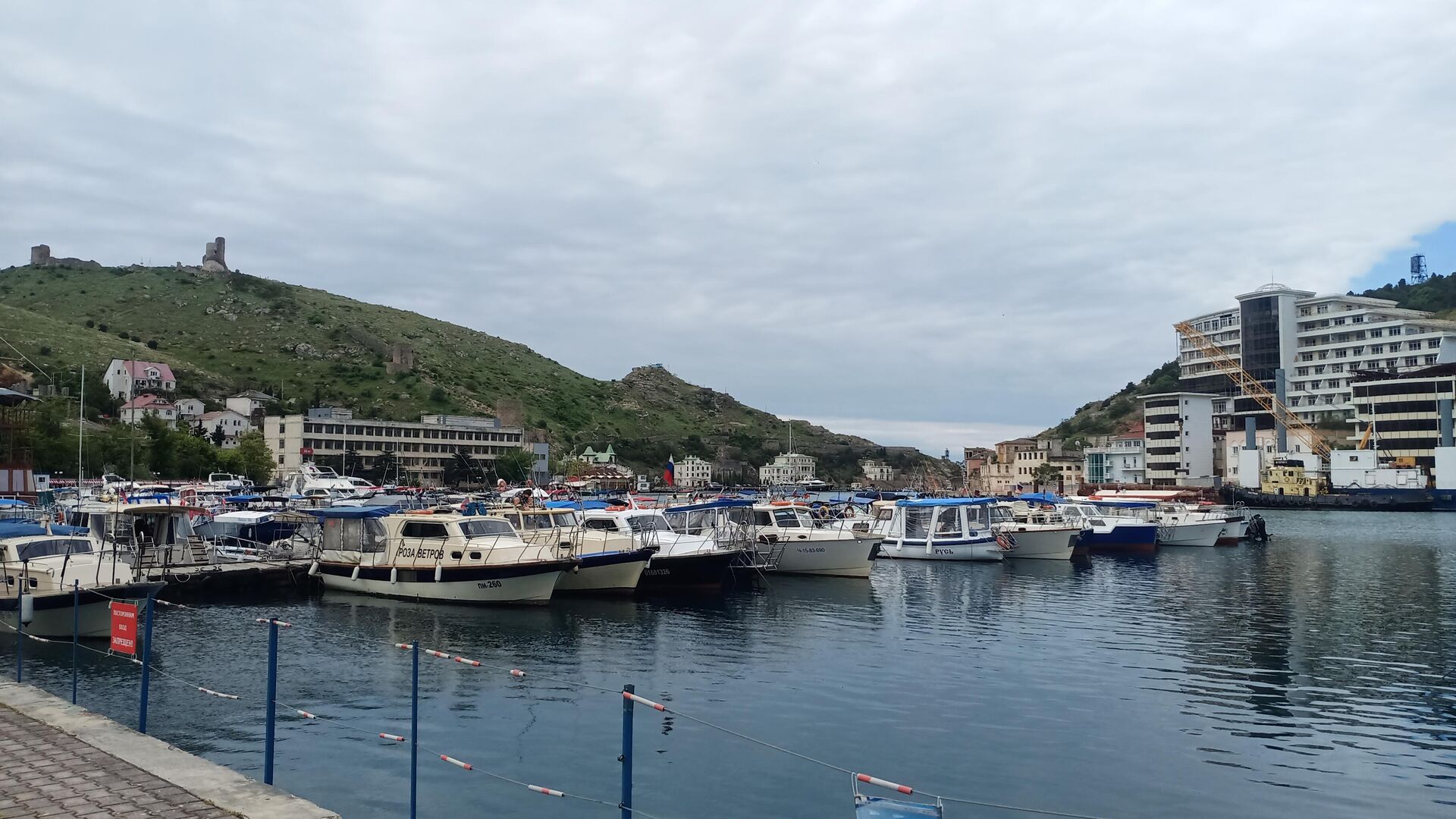 Стим в крыму. Дельфины в Балаклавской бухте. Балаклава Крым фото. Балаклавская Симферополь.