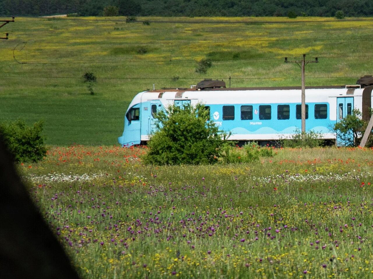 ЧП на железной дороге в Крыму: задерживаются поезда и электрички - РИА  Новости Крым, 27.06.2023