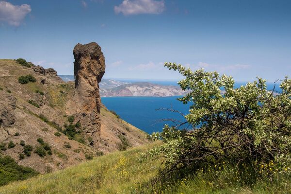 В карадагском природном заповеднике