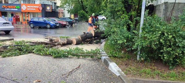 На улице Залесская в Симферополе упало дерево на дорогу