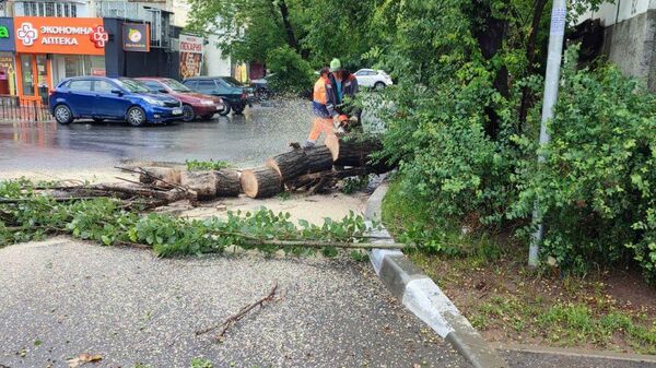 На улице Залесская в Симферополе упало дерево на дорогу