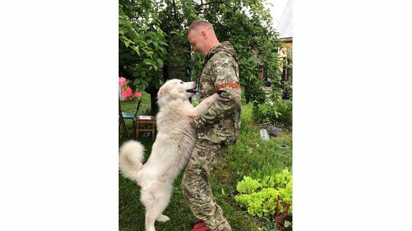 Росгвардейцы приютили спасенных на Украине собак 