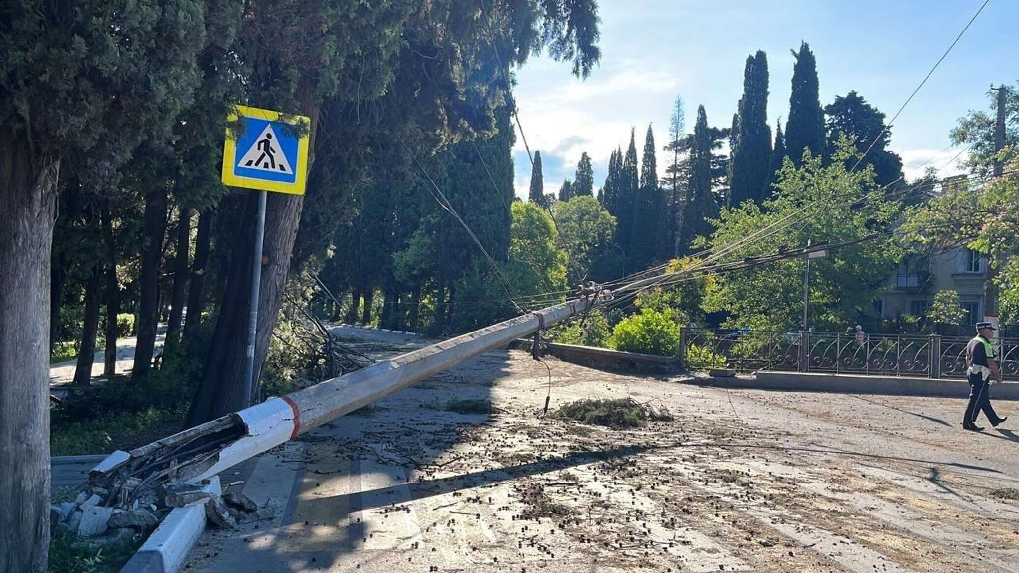 Видео урагана в крыму. Ялта сейчас. Деревья в Ялте. Ялта ул Ломоносова. Крым при Украине.