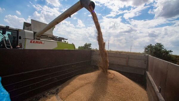 Уборка зерновых в Запорожской области