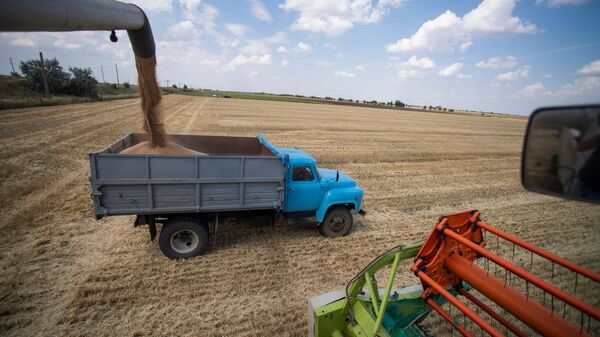 Уборка зерновых в Запорожской области