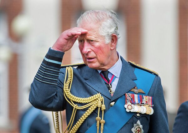 Маршал Королевских ВВС, британский принц Чарльз