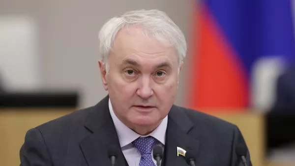 Председатель комитета Госдумы РФ по обороне Андрей Картаполов